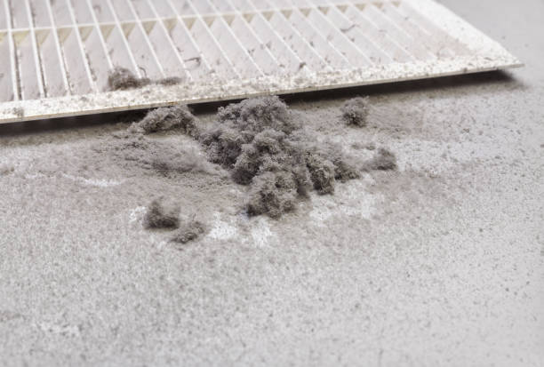 Best Affordable Duct Cleaning Services  in Pingree Grove, IL