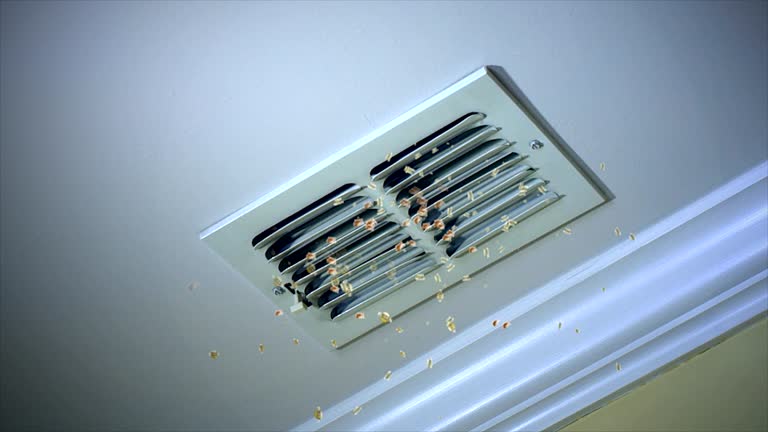 Best Commercial Air Duct Cleaning  in Pingree Grove, IL