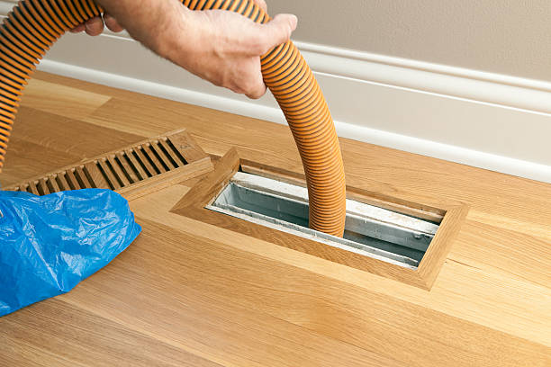 Best Home Air Vent Cleaning  in Pingree Grove, IL