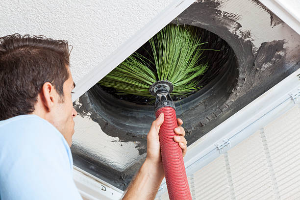 Best Affordable HVAC Duct Cleaning  in Pingree Grove, IL