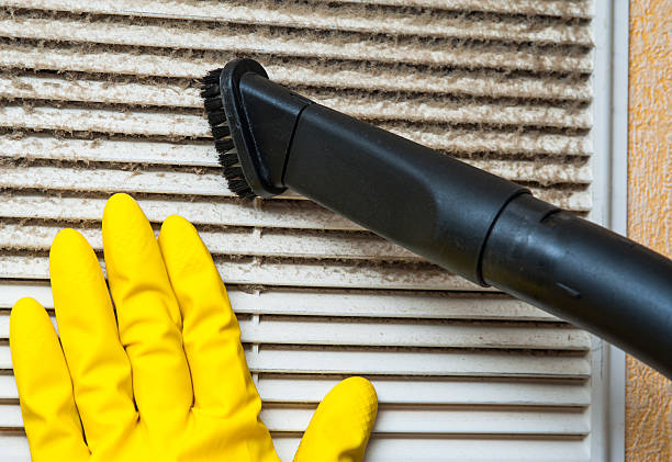 Best Ventilation Cleaning Services  in Pingree Grove, IL
